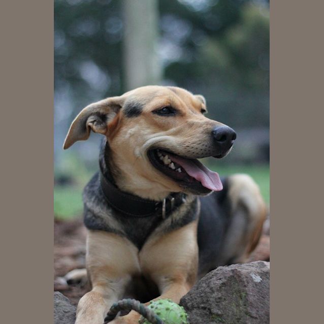 Photo of Misty