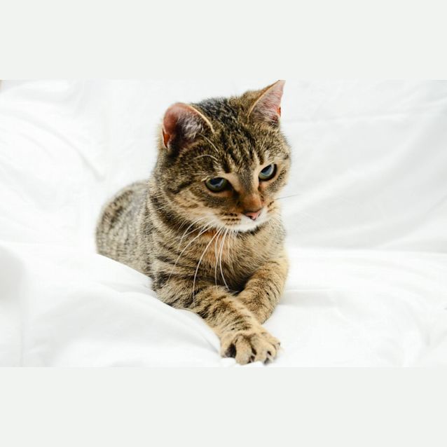 Photo of Tabitha