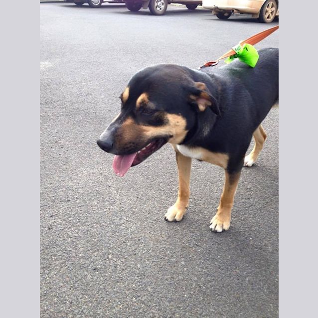 Photo of Eilish D0320 