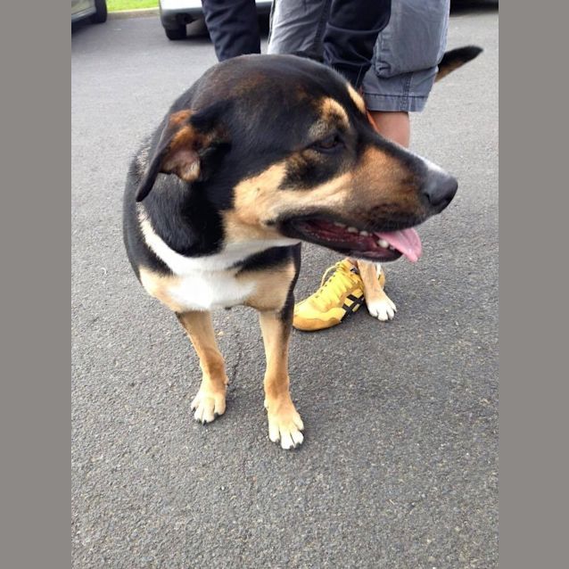 Photo of Eilish D0320 