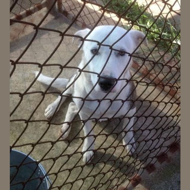 Photo of Duke