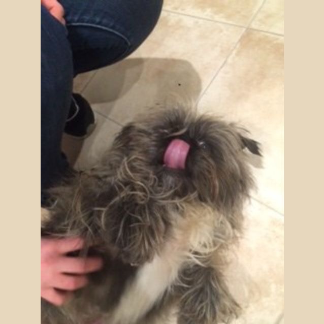 Photo of Hershey