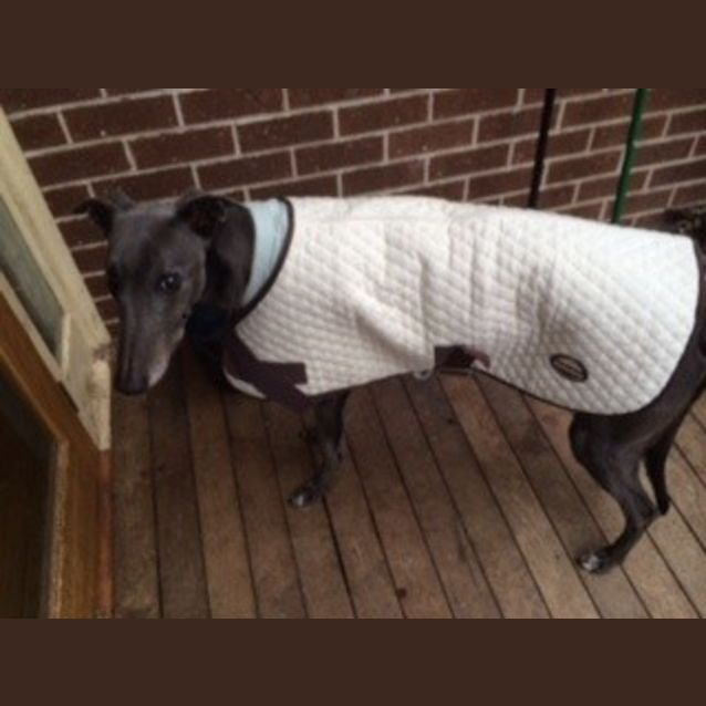 Photo of Lenny