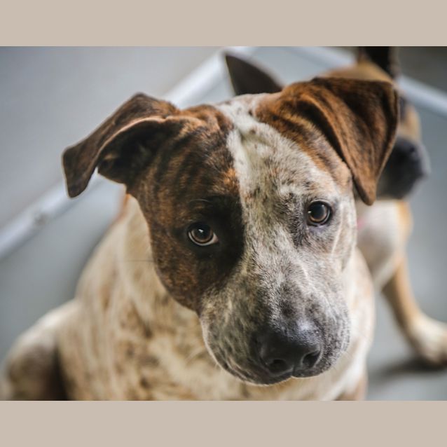 Photo of Charlie ~ #1502414