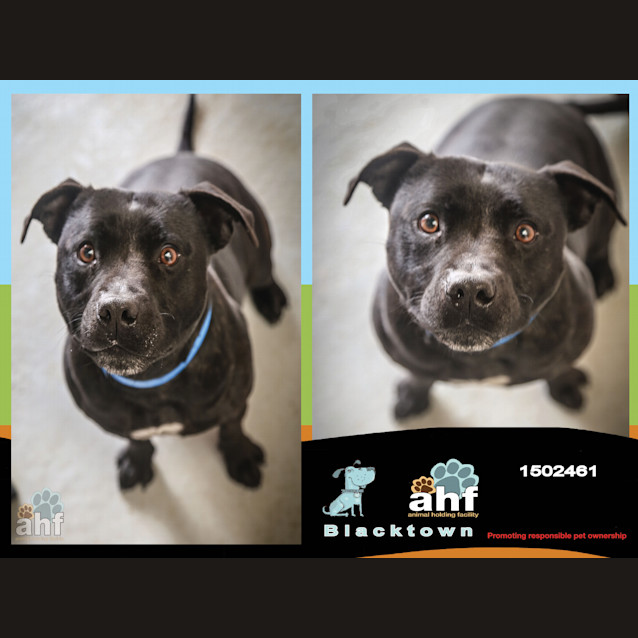 Photo of Chux ~ #1502461