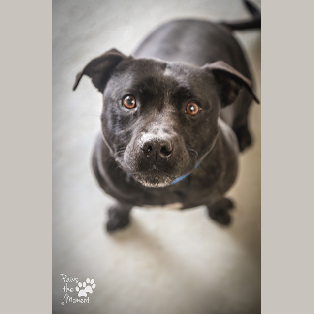 Photo of Chux ~ #1502461