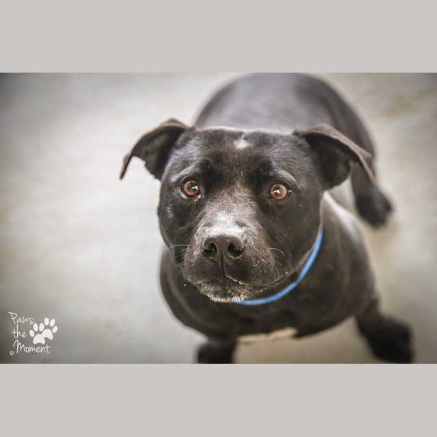 Photo of Chux ~ #1502461