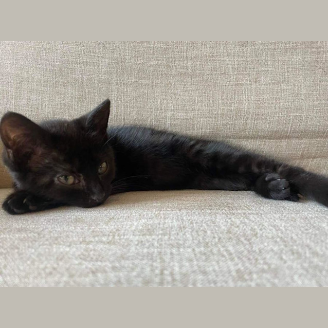 Photo of Patti   Located In Preston
