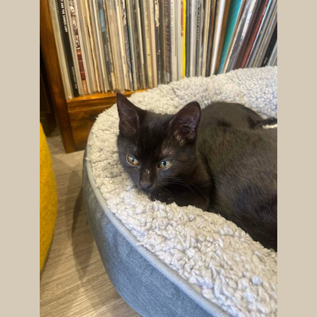 Photo of Patti   Located In Preston