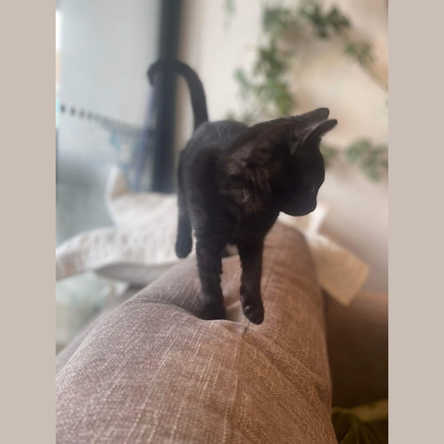 Photo of Patti   Located In Preston
