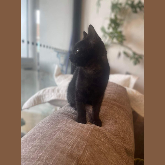 Photo of Patti   Located In Preston