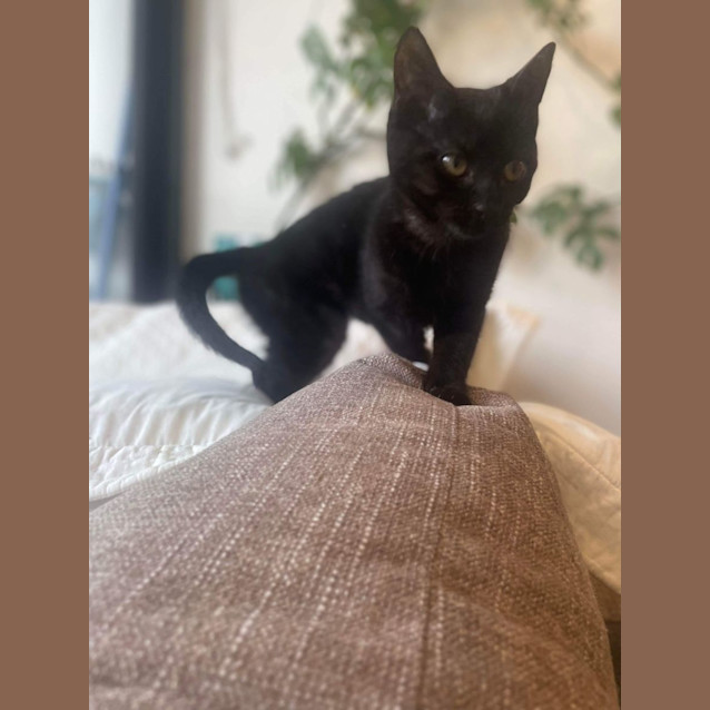 Photo of Patti   Located In Preston