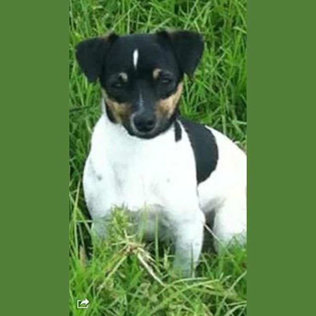 Photo of Spike