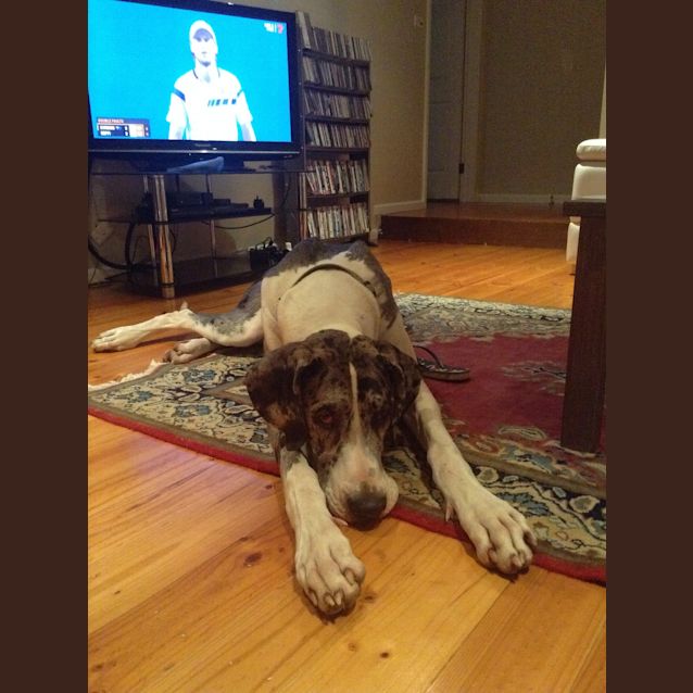 Photo of George