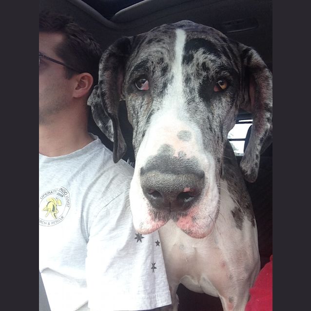Photo of George