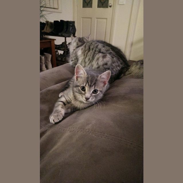 Photo of Aura
