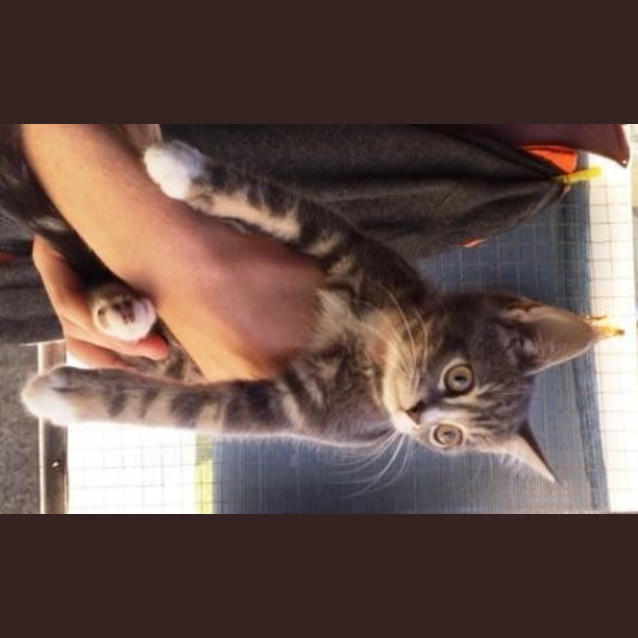Photo of Prada