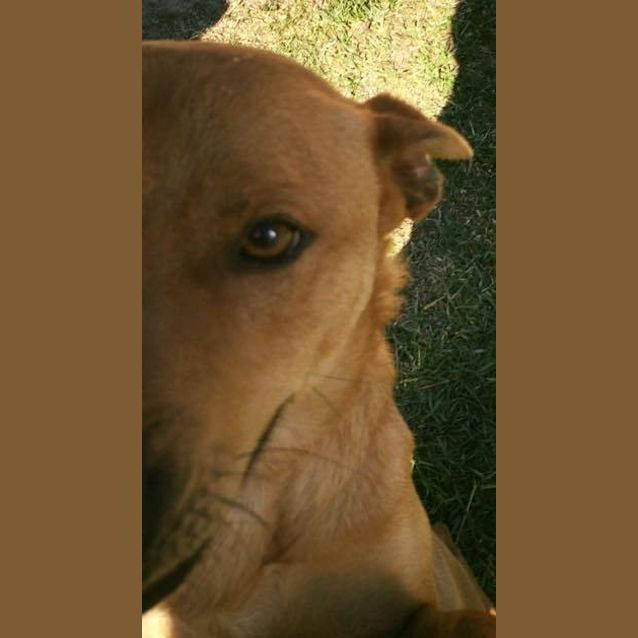 Photo of Cinder Dl1073