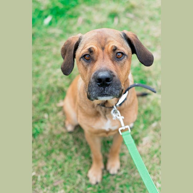 Photo of Roxy