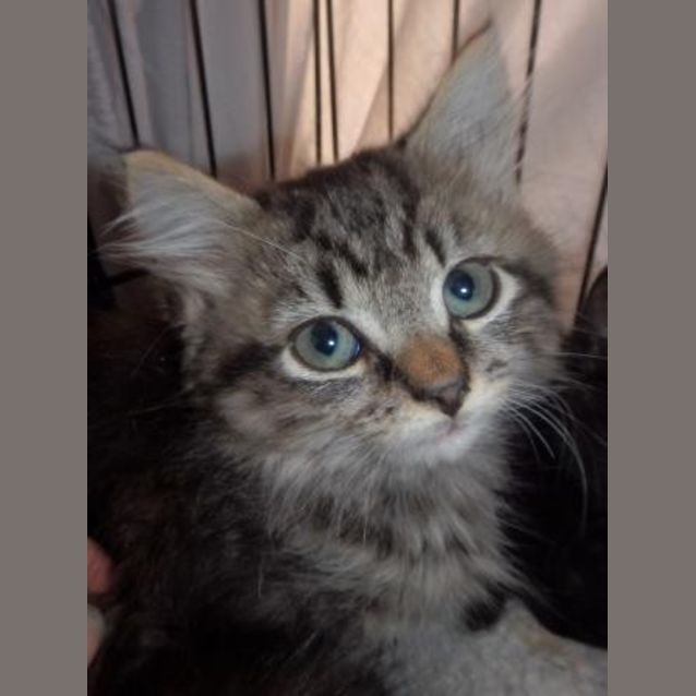 Photo of Belle