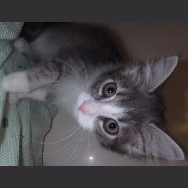Photo of Alley