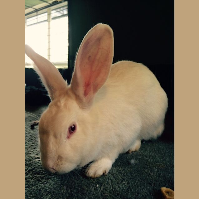 Photo of Mr Smith & Sally