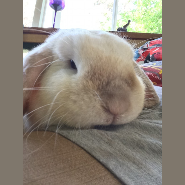 Photo of Smudge & Cloud