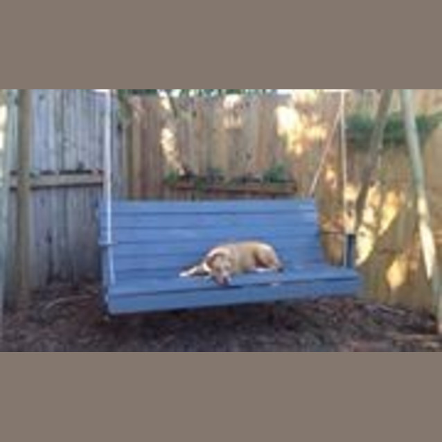 Photo of Pumpkin