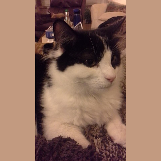 Photo of Schubert (Schubie)