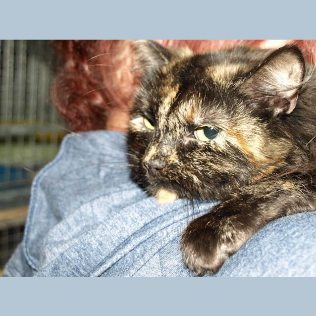 Photo of Matilda