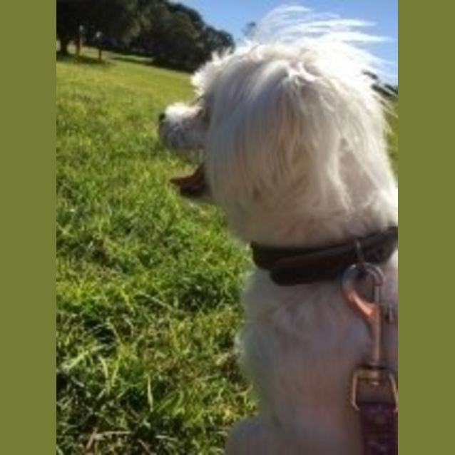 Photo of Missy