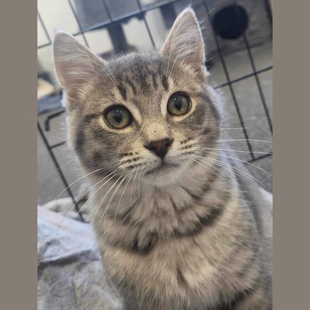 Photo of Storm