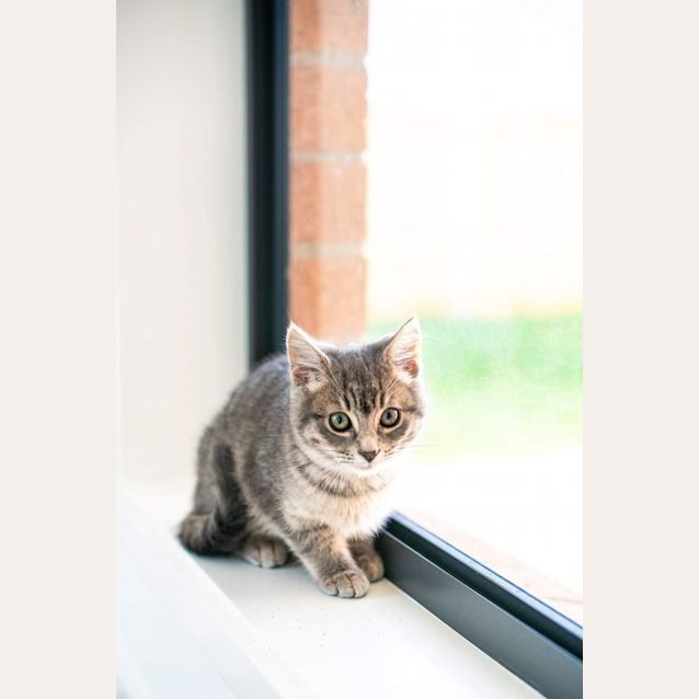 Photo of Storm