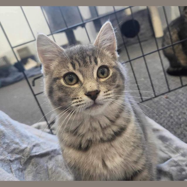 Photo of Storm