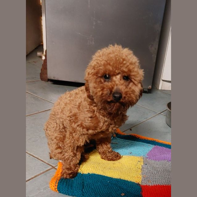 Photo of Bernard