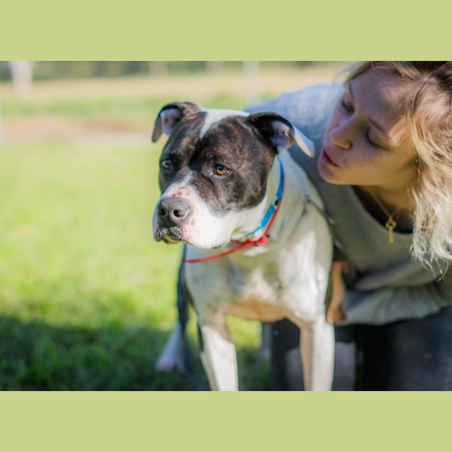 Photo of Patches ~ #1501865