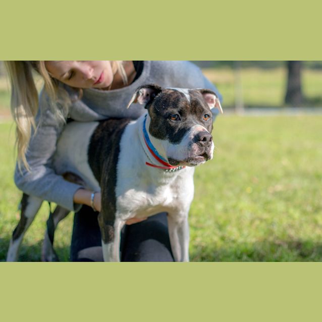 Photo of Patches ~ #1501865