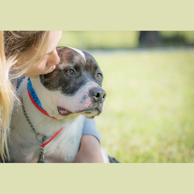 Photo of Patches ~ #1501865