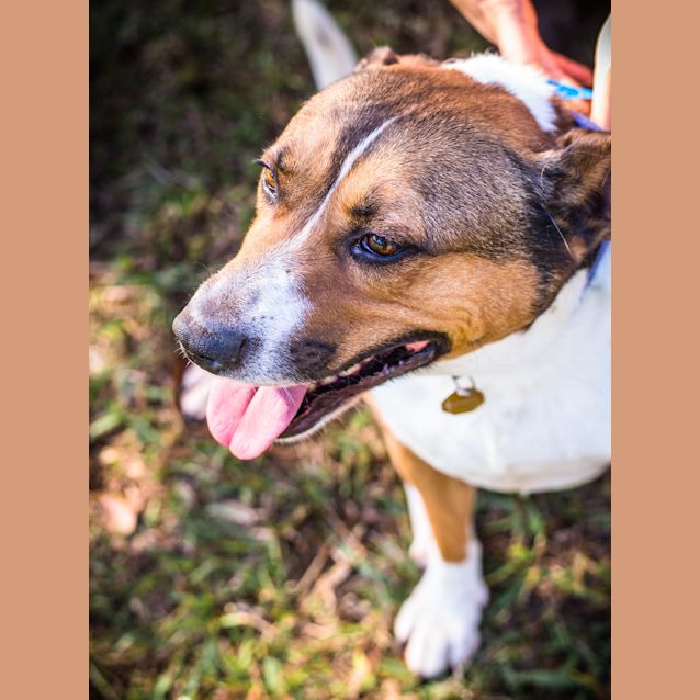 Photo of Bundy ~ #1501987