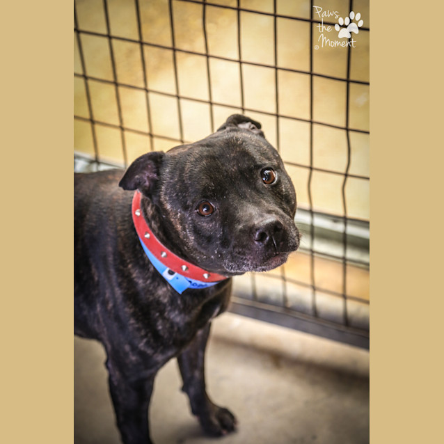 Photo of Chuck ~ #1502020