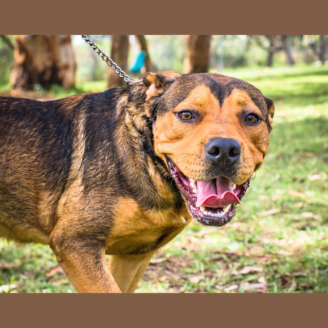 Photo of Kayne ~ #1501716