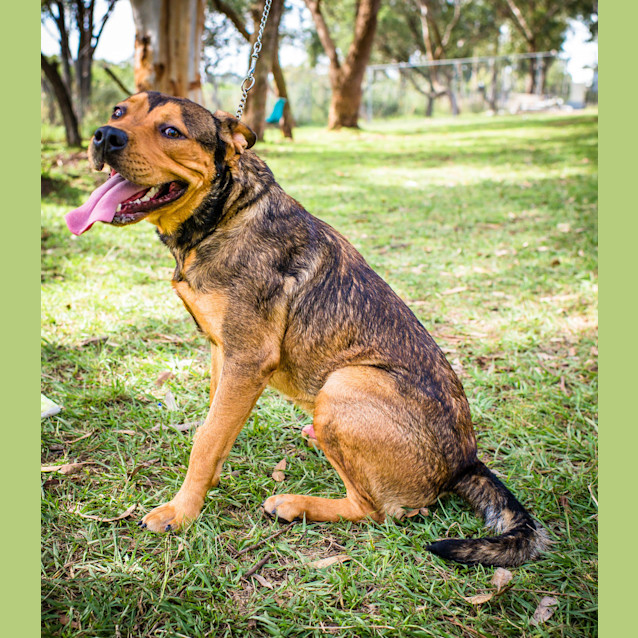 Photo of Kayne ~ #1501716