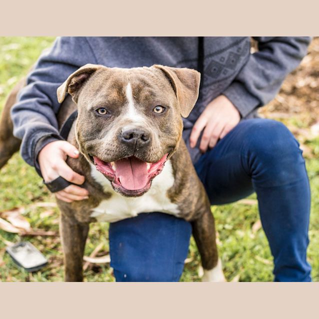 Photo of Junior ~ # 1502481