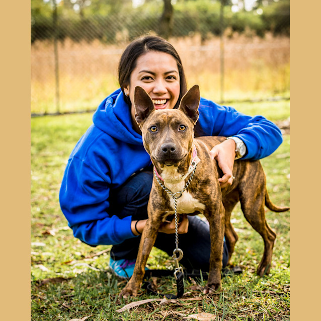 Photo of Petal ~ #1502001