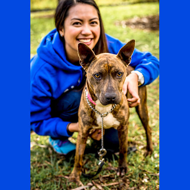 Photo of Petal ~ #1502001