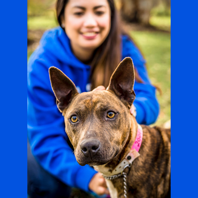 Photo of Petal ~ #1502001