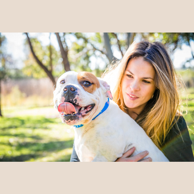 Photo of Tyson ~ #1502379
