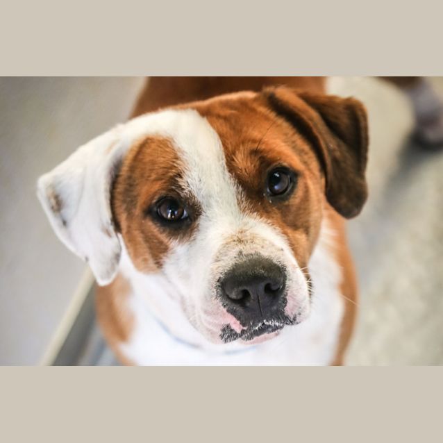 Photo of Bobbie ~ #1502994