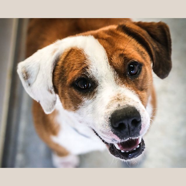 Photo of Bobbie ~ #1502994