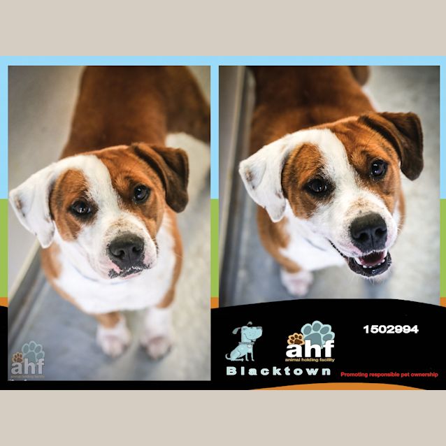 Photo of Bobbie ~ #1502994